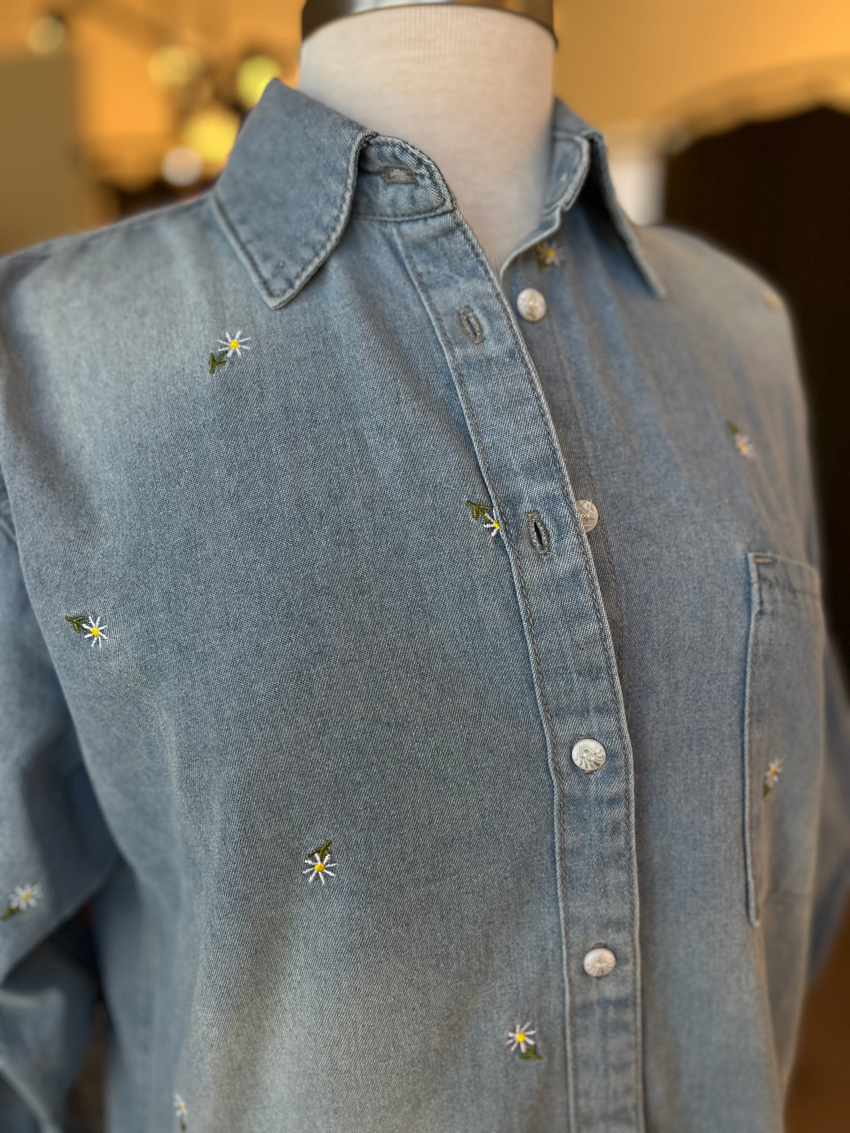 Sophia Embroiderd Denim Shirt