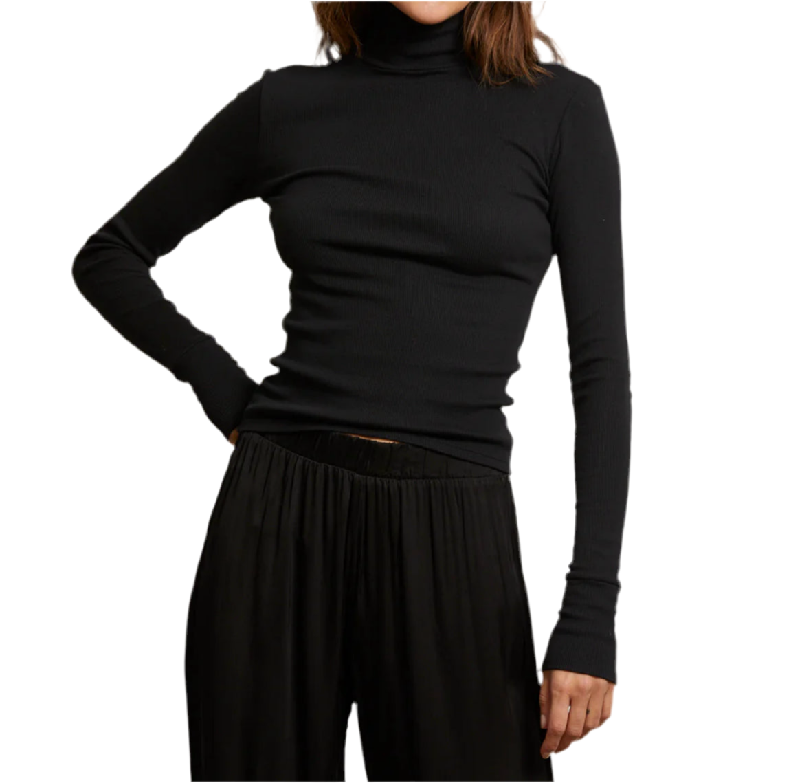 Hayden Luxe Rib Turtle Neck in True Black