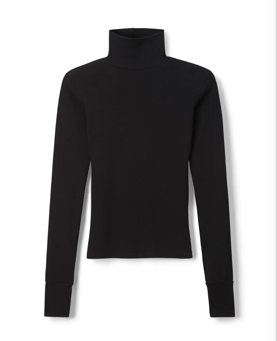 Hayden Luxe Rib Turtle Neck in True Black