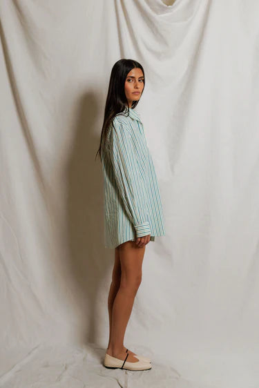 Avalon Stripe Cotton Button Down